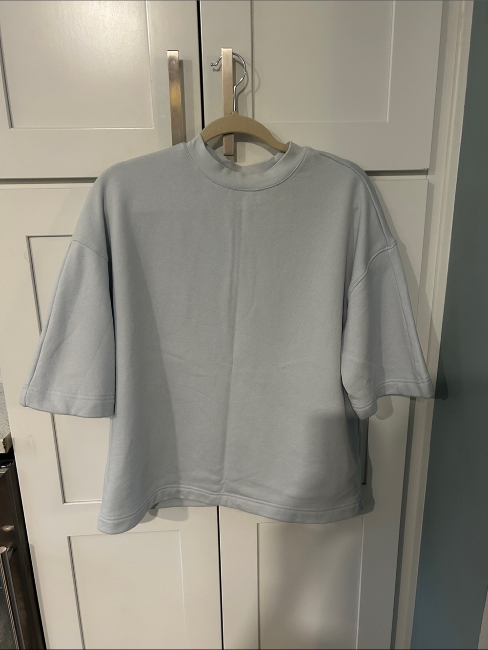 Everlane Women's Boxy Sweatshirt in Light Blue French Terry